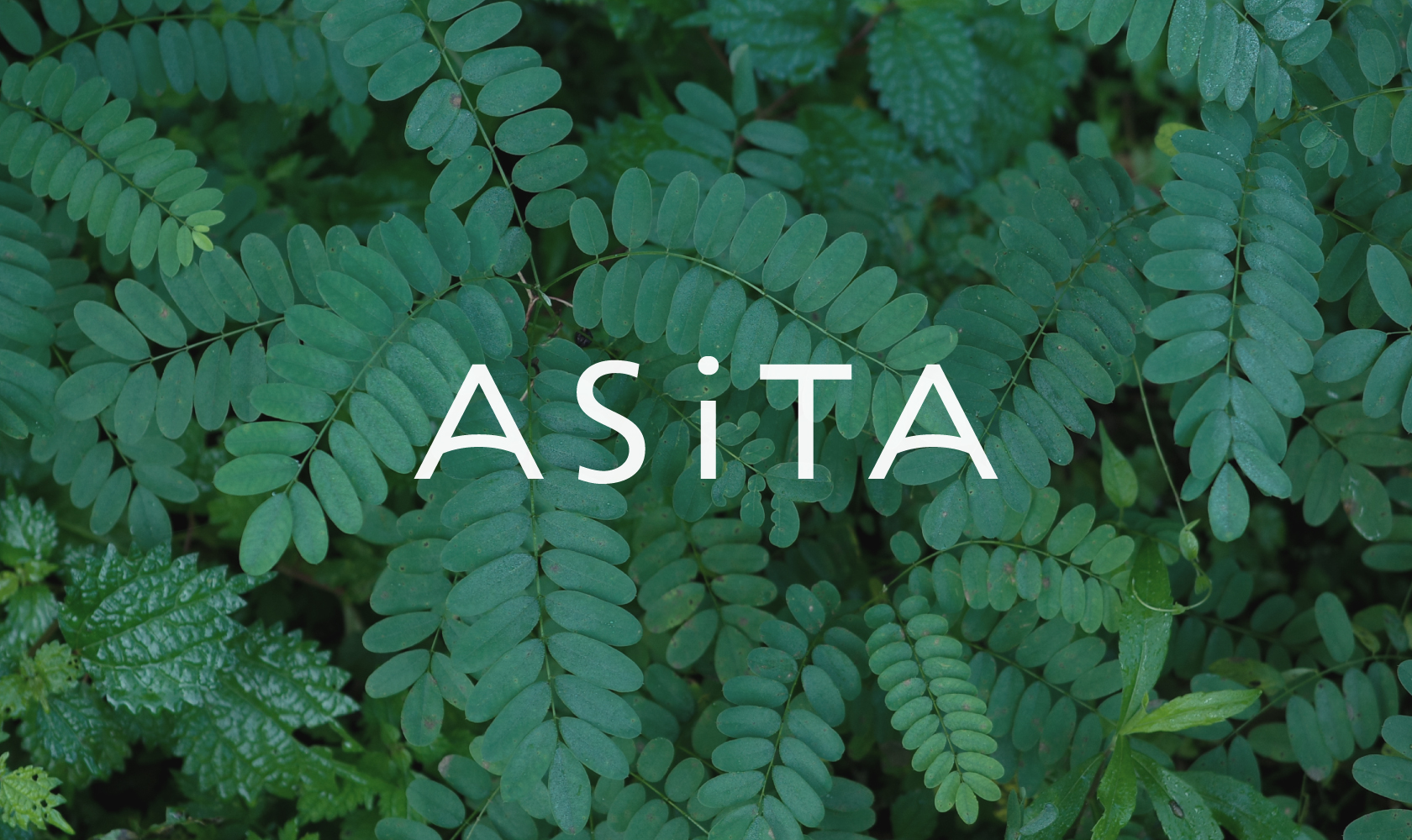 ASiTA